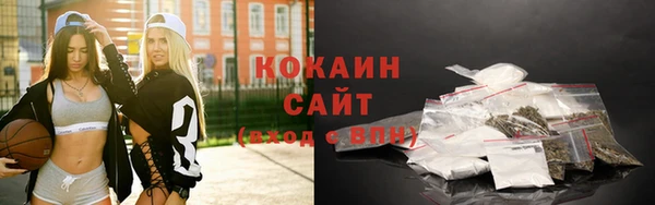дмт Лиски