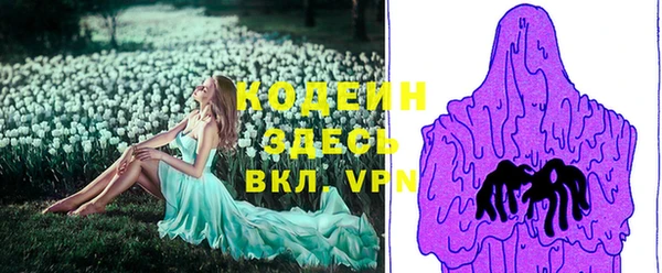 молекула духа Вязьма