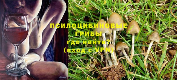 мет Вяземский