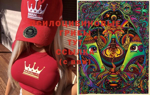 молекула духа Вязьма