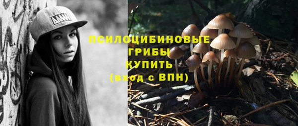 мет Вяземский