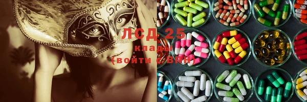 прущий лед Горняк