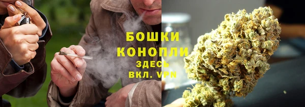 молекула духа Вязьма