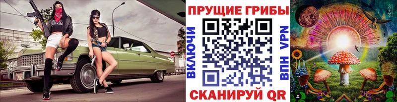 Псилоцибиновые грибы Cubensis  Купить  Изобильный 